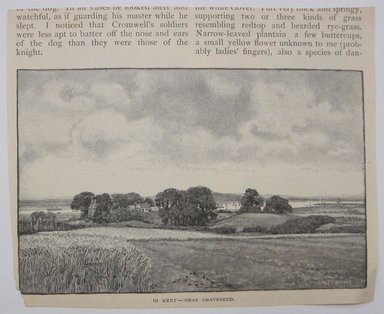 <em>"In Kent -- Near Gravesend. Clipped illustration of field with trees with caption 'In Kent -- Near Gravesend' Reverse has another illustration with caption 'Cottages at Shottery.'"</em>. Printed material. Brooklyn Museum. (NK4210_L98_F14_Lycett_inv226.jpg