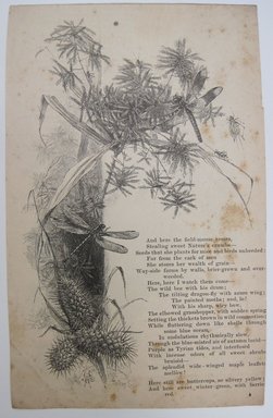 <em>"And here the field-mouse comes…. Clipped illustration of dragonflies and plants with verse beginning 'And here the field-mouse comes…' Reverse has another illustration of plants and continuation of verse.."</em>. Printed material. Brooklyn Museum. (NK4210_L98_F14_Lycett_inv227.jpg