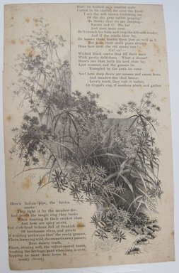 <em>"And here the field-mouse comes…. Clipped illustration of dragonflies and plants with verse beginning 'And here the field-mouse comes…' Reverse has another illustration of plants and continuation of verse.."</em>. Printed material. Brooklyn Museum. (NK4210_L98_F14_Lycett_inv227_verso.jpg