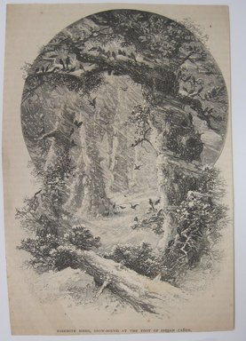 <em>"Yosemite Birds…. Clipped illustration of snow storm with trees and birds, caption reads 'Yosemite birds, snow-bound at the foot of Indian Canon.' Reverse has text.."</em>. Printed material. Brooklyn Museum. (NK4210_L98_F14_Lycett_inv260.jpg