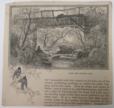 <em>"Afer the Phoebe's Nest. Clipped illustration of a bridge with trees and birds and caption 'Afer the Phoebe's Nest.' Reverse has text and another illustration.."</em>. Printed material. Brooklyn Museum. (NK4210_L98_F14_Lycett_inv262.jpg