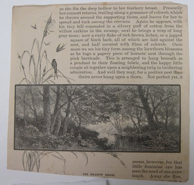 <em>"Afer the Phoebe's Nest. Clipped illustration of a bridge with trees and birds and caption 'Afer the Phoebe's Nest.' Reverse has text and another illustration.."</em>. Printed material. Brooklyn Museum. (NK4210_L98_F14_Lycett_inv262_verso.jpg