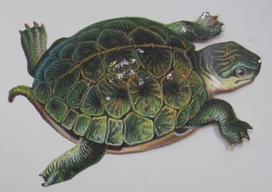 <em>"Cut out illustration of a turtle. Reverse is blank."</em>. Printed material. Brooklyn Museum. (NK4210_L98_F14_Lycett_inv283.jpg