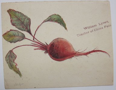 <em>"Painting of beet. 'William Lycett, / Teacher of China Painting' stamped at top right of sheet (last few letters of painting cut off). Reverse is blank."</em>. Printed material. Brooklyn Museum. (NK4210_L98_F14_Lycett_inv287.jpg