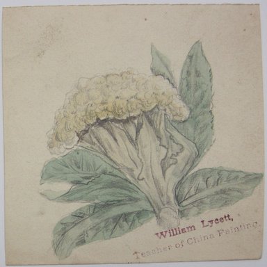 <em>"Painting of cauliflower floret.'William Lycett, / Teacher of China Painting' stamped at bottom right of sheet. Reverse has pencil outline of a vase (?)."</em>. Printed material. Brooklyn Museum. (NK4210_L98_F14_Lycett_inv288.jpg