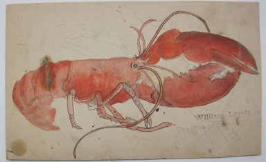 <em>"Painting of lobster. 'William Lycett, / Teacher of China Painting' stamped at bottom right of sheet. Reverse is blank."</em>. Printed material. Brooklyn Museum. (NK4210_L98_F14_Lycett_inv289.jpg