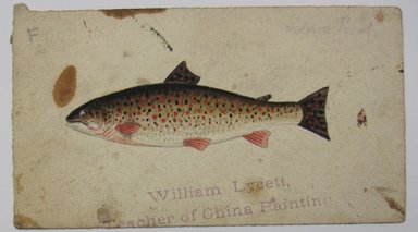 <em>"Painting of fish. 'William Lycett, / Teacher of China Painting' stamped at bottom of sheet, 'Salmon Trout' written in pencil at top right. Reverse is blank."</em>. Printed material. Brooklyn Museum. (NK4210_L98_F14_Lycett_inv290.jpg