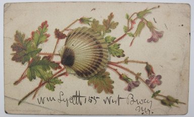 <em>"Painting of a shell in front of a spray of leaves. 'Wm Lycett 155 West Bway/N.Y.' written in ink on bottom of sheet. 'William Lycett, / Teacher of China Painting' stamped on reverse."</em>. Printed material. Brooklyn Museum. (NK4210_L98_F14_Lycett_inv294.jpg