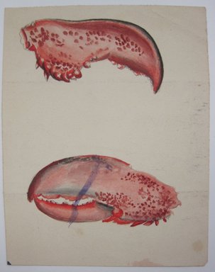 <em>"Painting of two lobster claws. Painting of spray of flowers on reverse."</em>. Printed material. Brooklyn Museum. (NK4210_L98_F14_Lycett_inv296.jpg