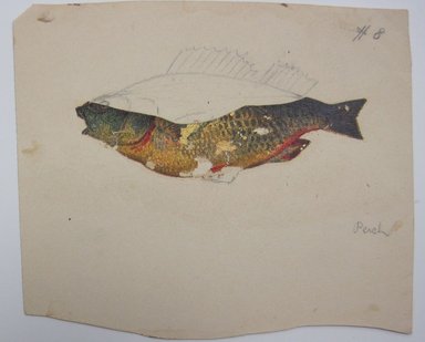 <em>"Partially colored in painting of a fish. '#8' written in graphite at top right of sheet, 'Perch' written in graphite at bottom right of sheet. Pencil drawing of vines on reverse."</em>. Printed material. Brooklyn Museum. (NK4210_L98_F14_Lycett_inv299.jpg