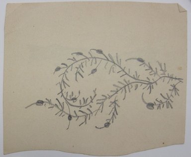 <em>"Partially colored in painting of a fish. '#8' written in graphite at top right of sheet, 'Perch' written in graphite at bottom right of sheet. Pencil drawing of vines on reverse."</em>. Printed material. Brooklyn Museum. (NK4210_L98_F14_Lycett_inv299_verso.jpg