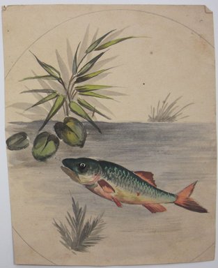 <em>"Painting of fish swimming in water with plants. Reverse is blank."</em>. Printed material. Brooklyn Museum. (NK4210_L98_F14_Lycett_inv304.jpg