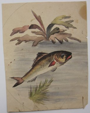 <em>"Painting of fish swimming in water with plants. Reverse is blank."</em>. Printed material. Brooklyn Museum. (NK4210_L98_F14_Lycett_inv305.jpg