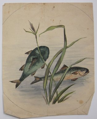 <em>"Painting of fish swimming in water with plants. Reverse is blank."</em>. Printed material. Brooklyn Museum. (NK4210_L98_F14_Lycett_inv306.jpg