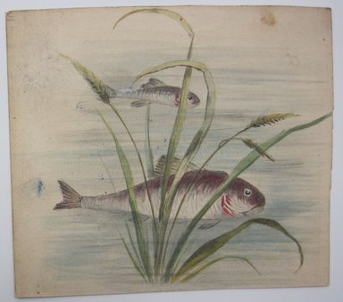 <em>"Painting of fish swimming in water with plants. Reverse is blank."</em>. Printed material. Brooklyn Museum. (NK4210_L98_F14_Lycett_inv312.jpg