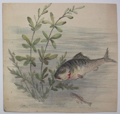 <em>"Painting of fish swimming in water with plants. Reverse is blank."</em>. Printed material. Brooklyn Museum. (NK4210_L98_F14_Lycett_inv313.jpg