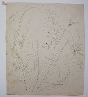 <em>"Graphite and ink drawing of plants and butterflies on the back of a page from a book. Reverse has text."</em>. Printed material. Brooklyn Museum. (NK4210_L98_F14_Lycett_inv318.jpg