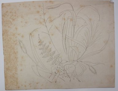 <em>"Graphite drawing of plants and flowers on the back of a page from a book. Reverse has text."</em>. Printed material. Brooklyn Museum. (NK4210_L98_F14_Lycett_inv319.jpg