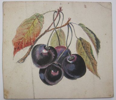 <em>"Painting of plums with leaves. Sheet is perferated along the edges of the painting. Reverse is blank."</em>. Printed material. Brooklyn Museum. (NK4210_L98_F14_Lycett_inv321.jpg