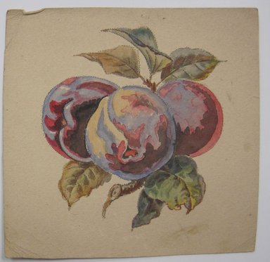 <em>"Painting of plums with leaves. Sheet is perferated along the edges of the painting. Reverse is blank."</em>. Printed material. Brooklyn Museum. (NK4210_L98_F14_Lycett_inv323.jpg