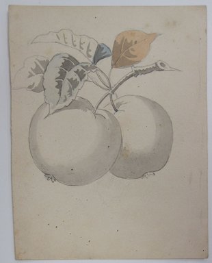 <em>"Partially colored in drawing of peaches and leaves. Reverse is blank."</em>. Printed material. Brooklyn Museum. (NK4210_L98_F14_Lycett_inv325.jpg