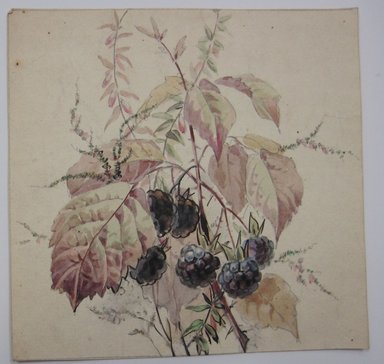 <em>"Painting of berries and leaves. Reverse is blank."</em>. Printed material. Brooklyn Museum. (NK4210_L98_F14_Lycett_inv326.jpg