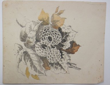 <em>"Partially colored in drawing of berries and leaves. Reverse is blank."</em>. Printed material. Brooklyn Museum. (NK4210_L98_F14_Lycett_inv327.jpg