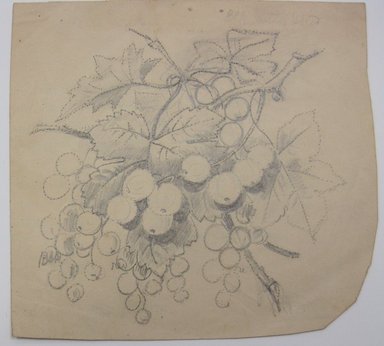 <em>"Drawing of grapes and leaves with perferations around edge of drawing. Reverse has text."</em>. Printed material. Brooklyn Museum. (NK4210_L98_F14_Lycett_inv329.jpg
