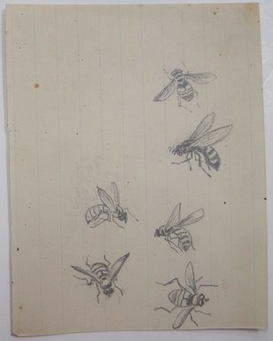 <em>"Graphite drawing of six bees on lined paper. Reverse has sums written in graphite and ink."</em>. Printed material. Brooklyn Museum. (NK4210_L98_F14_Lycett_inv338.jpg