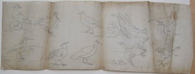 <em>"Long sheet of vellum paper with ten different birds drawn on it, each labeled with a name. Reverse is blank."</em>. Printed material. Brooklyn Museum. (NK4210_L98_F14_Lycett_inv345.jpg