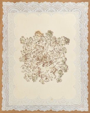 <em>"Algae or seaweed specimen, pasted on colored construction paper, framed by paper lace doilies. The algae have been arranged into designs and scenes."</em>, 1848. Printed material. Brooklyn Museum. (Photo: Brooklyn Museum, QK567_Se1_Sea_Weeds_p009_PS4.jpg