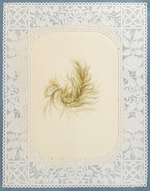 <em>"Algae or seaweed specimen, pasted on colored construction paper, framed by paper lace doilies. The algae have been arranged into designs and scenes."</em>, 1848. Printed material. Brooklyn Museum. (Photo: Brooklyn Museum, QK567_Se1_Sea_Weeds_p010_PS4.jpg