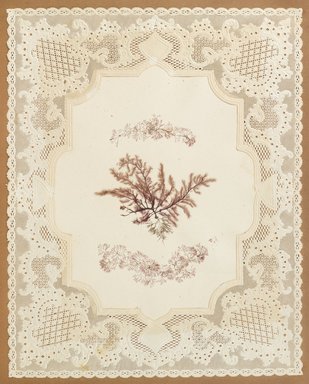 <em>"Algae or seaweed specimen, pasted on colored construction paper, framed by paper lace doilies. The algae have been arranged into designs and scenes."</em>, 1848. Printed material. Brooklyn Museum. (Photo: Brooklyn Museum, QK567_Se1_Sea_Weeds_p016_PS4.jpg