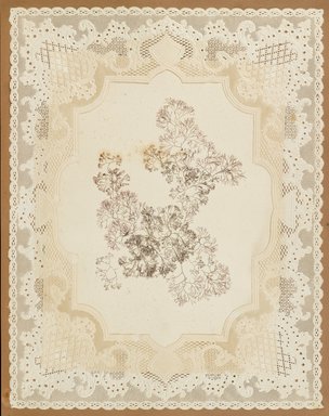 <em>"Algae or seaweed specimen, pasted on colored construction paper, framed by paper lace doilies. The algae have been arranged into designs and scenes."</em>, 1848. Printed material. Brooklyn Museum. (Photo: Brooklyn Museum, QK567_Se1_Sea_Weeds_p020_PS4.jpg