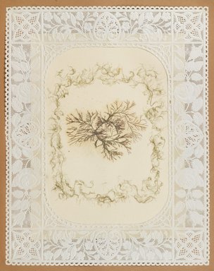 <em>"Algae or seaweed specimen, pasted on colored construction paper, framed by paper lace doilies. The algae have been arranged into designs and scenes."</em>, 1848. Printed material. Brooklyn Museum. (Photo: Brooklyn Museum, QK567_Se1_Sea_Weeds_p021_PS4.jpg