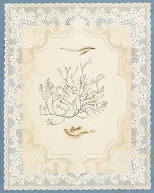 <em>"Algae or seaweed specimen, pasted on colored construction paper, framed by paper lace doilies. The algae have been arranged into designs and scenes."</em>, 1848. Printed material. Brooklyn Museum. (Photo: Brooklyn Museum, QK567_Se1_Sea_Weeds_p023_PS4.jpg
