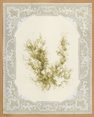 <em>"Algae or seaweed specimen, pasted on colored construction paper, framed by paper lace doilies. The algae have been arranged into designs and scenes."</em>, 1848. Printed material. Brooklyn Museum. (Photo: Brooklyn Museum, QK567_Se1_Sea_Weeds_p024_PS4.jpg