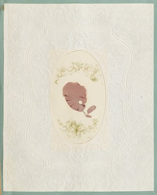 <em>"Algae or seaweed specimen, pasted on colored construction paper, framed by paper lace doilies. The algae have been arranged into designs and scenes."</em>, 1848. Printed material. Brooklyn Museum. (Photo: Brooklyn Museum, QK567_Se1_Sea_Weeds_p025_PS4.jpg