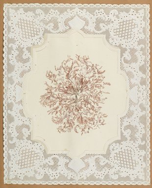 <em>"Algae or seaweed specimen, pasted on colored construction paper, framed by paper lace doilies. The algae have been arranged into designs and scenes."</em>, 1848. Printed material. Brooklyn Museum. (Photo: Brooklyn Museum, QK567_Se1_Sea_Weeds_p029_PS4.jpg