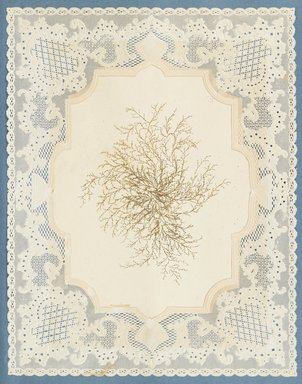 <em>"Algae or seaweed specimen, pasted on colored construction paper, framed by paper lace doilies. The algae have been arranged into designs and scenes."</em>, 1848. Printed material. Brooklyn Museum. (Photo: Brooklyn Museum, QK567_Se1_Sea_Weeds_p032_PS4.jpg