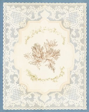 <em>"Algae or seaweed specimen, pasted on colored construction paper, framed by paper lace doilies. The algae have been arranged into designs and scenes."</em>, 1848. Printed material. Brooklyn Museum. (Photo: Brooklyn Museum, QK567_Se1_Sea_Weeds_p037_PS4.jpg