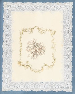 <em>"Algae or seaweed specimen, pasted on colored construction paper, framed by paper lace doilies. The algae have been arranged into designs and scenes."</em>, 1848. Printed material. Brooklyn Museum. (Photo: Brooklyn Museum, QK567_Se1_Sea_Weeds_p040_PS4.jpg