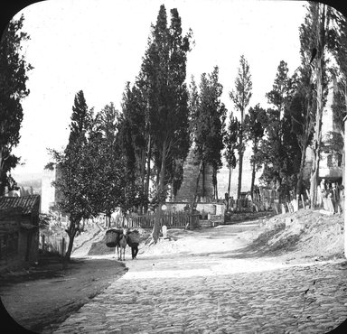 <em>"Street scene, Istanbul, Turkey, 1903"</em>, 1903. Lantern slide 3.25x4in, 3.25 x 4 in. Brooklyn Museum, Goodyear. (Photo: Brooklyn Museum, S03i1779l01.jpg