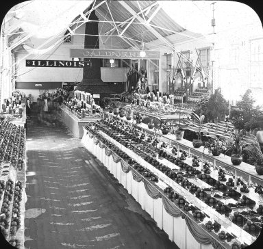 <em>"World's Columbian Exposition: Horticultural Building, Chicago, United States, 1893"</em>, 1893. Lantern slide 3.25x4in, 3.25 x 4 in. Brooklyn Museum, Goodyear. (Photo: Brooklyn Museum, S03i2209l01.jpg
