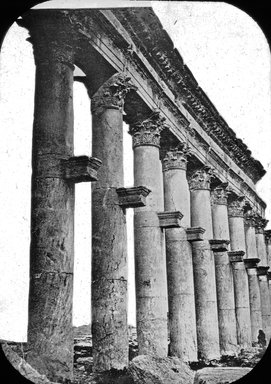 <em>"Colonnade, Palmyra, Syria"</em>. Lantern slide 3.25x4in, 3.25 x 4 in. Brooklyn Museum, Goodyear. (Photo: Brooklyn Museum, S03i3116l01.jpg