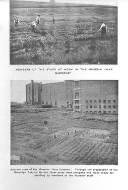 <em>"Brooklyn Museum: exterior. View of the Museum Victory Gardens and back of the museum, 1917."</em>, 1917. Bw copy negative 5x7in, 5 x 7in (12.7 x 17.8 cm). Brooklyn Museum, Museum building. (Photo: Brooklyn Museum, S06_BEEi019.jpg