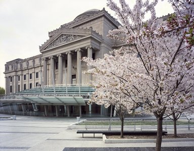 <em>"Brooklyn Museum: exterior. View of Eastern Parkway entrance pavilion from the northwest with cherry blossoms in bloom, 2005."</em>, 2005. Color transparency 4x5in, 4 x 5in (10.2 x 12.7 cm). Brooklyn Museum, Museum building. (Photo: Brooklyn Museum, S06_BEEi172.jpg