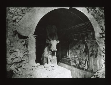 <em>"Views, Objects: Egypt. Deir-El-Bahari. View 02: Hathor Cow in Shrine. XVIIIth Dyn. Temple of Deir-el-Bahari."</em>. Lantern slide 3.25x4in, 3.25 x 4 in. Brooklyn Museum, lantern slides. (S10_08_Egypt_Deir-El-Bahari02_SL1.jpg
