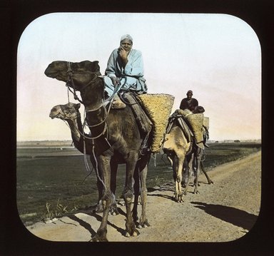 <em>"Views, Objects: Egypt. General Views; People. View 006: Egypt - Arabs on Camels en route to Sakkara."</em>. Lantern slide 3.25x4in, 3.25 x 4 in. Brooklyn Museum, lantern slides. (Photo: T. H. McAllister, New York, S10_08_Egypt_GeneralViews_People006_SL1.jpg