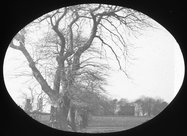 <em>"Views: Brooklyn. Various. View 005: Flatbush."</em>, 1899. Lantern slide 3.25x4in, 3.25 x 4 in. Brooklyn Museum, CHART_2011. (Photo: E.J. Cockey, S10_12_Brooklyn_Various005.jpg